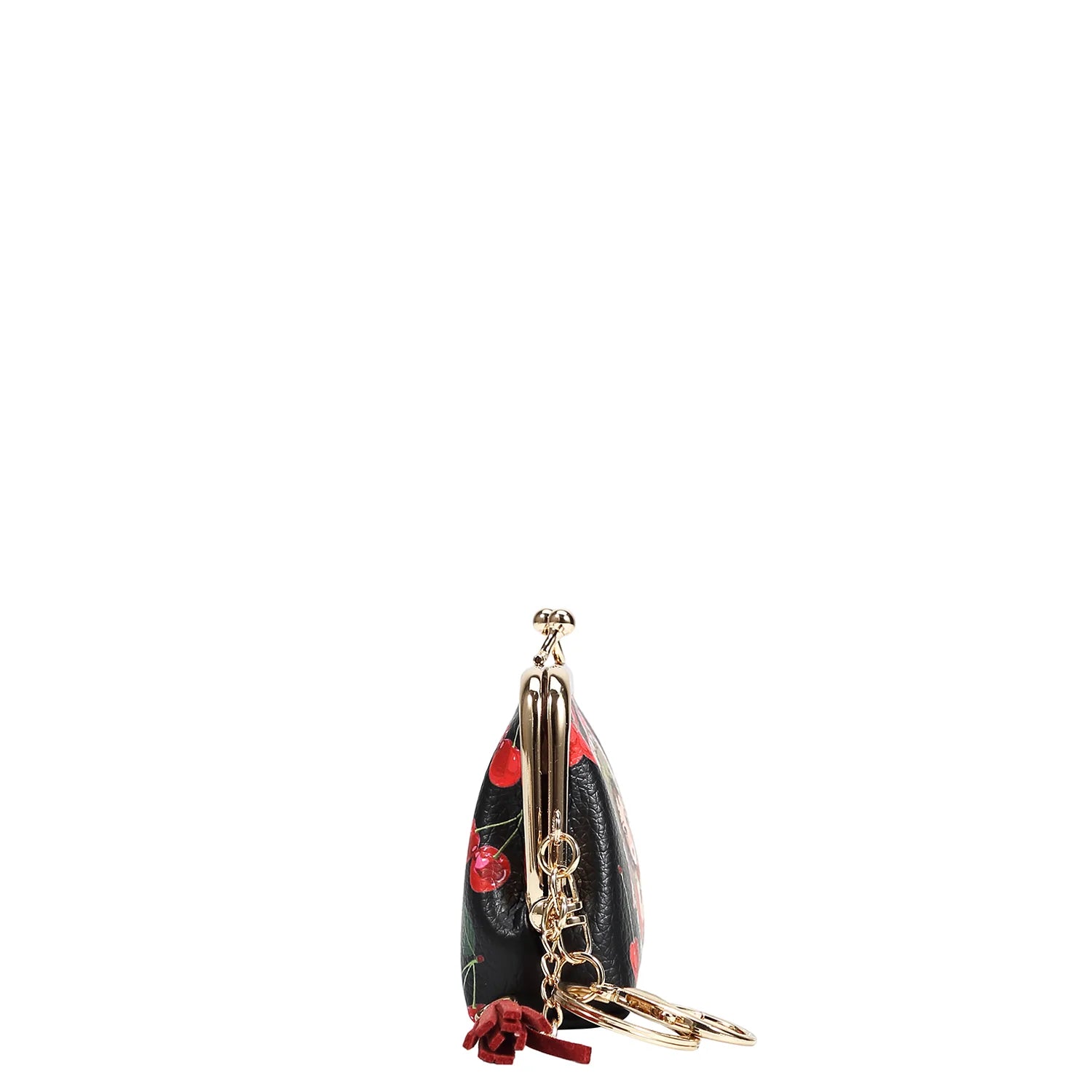 Kisslock Coin Purse